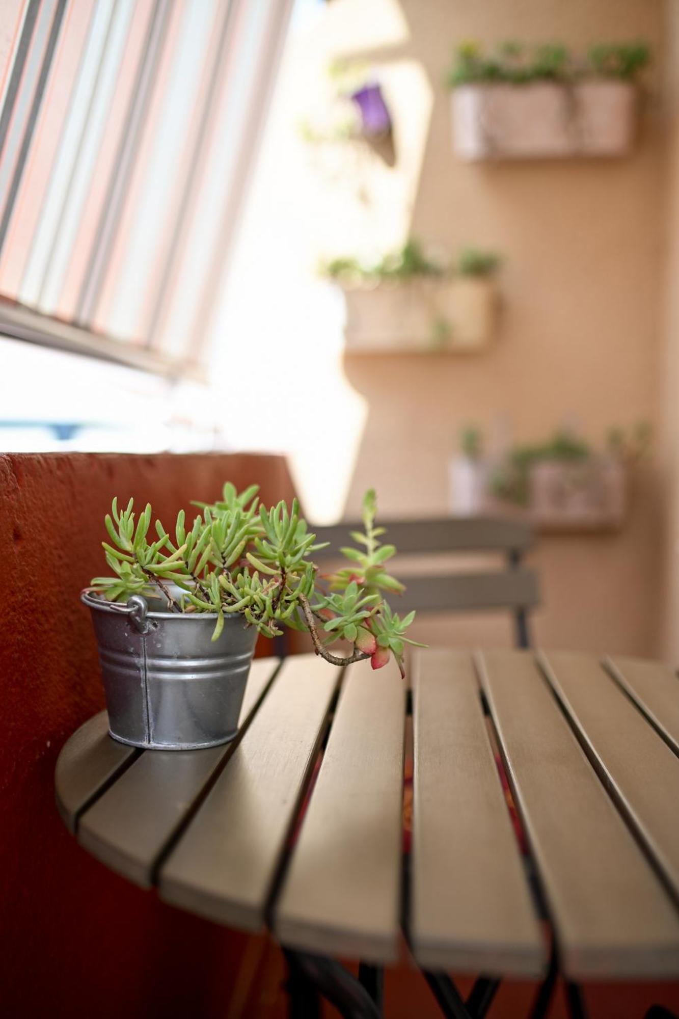 Near Zadar City Center Apartment With Free Parking And Air Condition In Each Room Luaran gambar